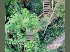 -郑州植物园