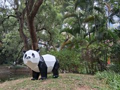 -九龙公园