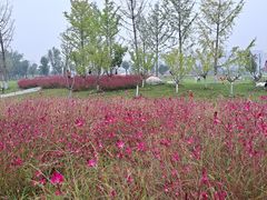 -汉长安城未央宫国家考古遗址公园