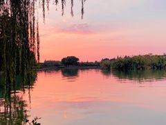 -尚湖风景区