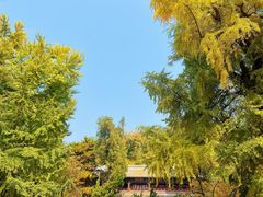 -潭柘寺景区