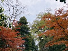 -青城山