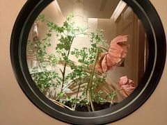 -觅唐MITONG(鸟巢店)