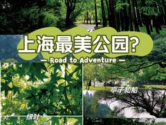 -上海共青森林公园