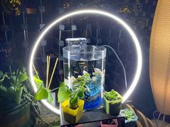 -C&R西班牙餐厅