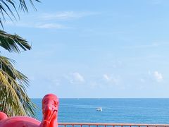 -日落吧·海景咖啡厅·餐酒吧·鸡尾酒·下午茶·乐队表演·浪漫夕阳·三亚文华东方酒店
