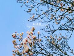 -大钟寺古钟博物馆