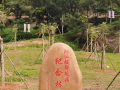 -金山植物公园