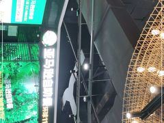 -亚马逊海鲜自助(梅溪湖步步高店)