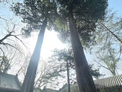-潭柘寺景区