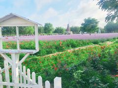 -渔岛海洋度假区