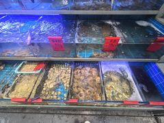 -金海湾海鲜排档(朱家尖店)