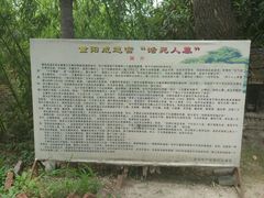 -活死人墓