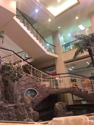 -五洲妇儿医院