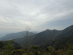 -莫干山风景区