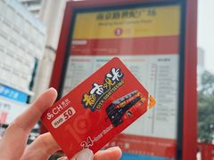 -BUS TOUR观光巴士