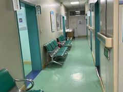 -北京观赏动物医院·24小时大型综合·猫专科·异宠专科