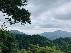 证明一下我去过青城山-青城甲(青城山店)