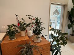 -Beans Solo豆号咖啡(百家湖花园店)