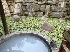 -明月山天沐温泉度假村