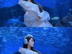 -海合安成都极地海洋公园