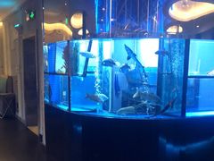 -王家渡火锅店(棕榈泉店)