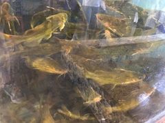 -荣德灶台鱼(圣泉寺店)