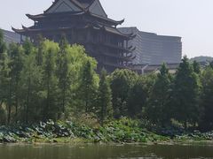 -长兴太湖图影湿地文化园