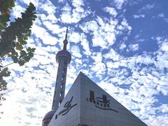 -上海海洋水族馆