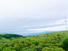 -草原天路(张北县)