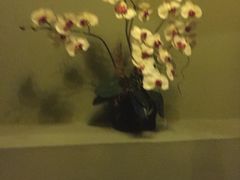 -泰合玺·精油疗愈 SPA(南京河西万达店)
