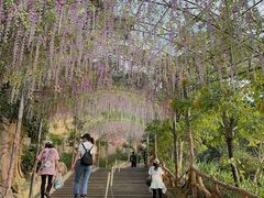 -黄腾峡天门悬廊
