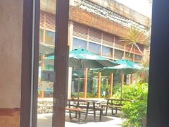 -雨林餐厅(长隆海洋王国店)