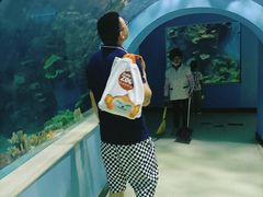 -苏州海洋馆
