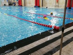 -飞鲨游泳培训学校