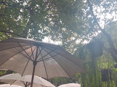 -Fern Forest Cafe
