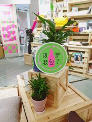 店内环境-悦诗风吟innisfree