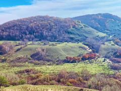 -塞罕坝国家级自然保护区