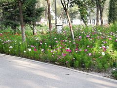 -西宁市人民公园(城西区)