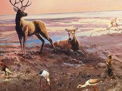 -中国湿地博物馆