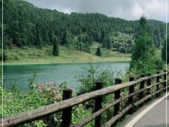 -武陵山森林公园
