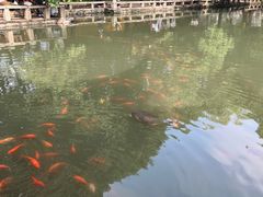 -西园戒幢律寺
