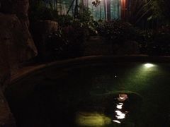 iphone_upload_pic-天目湖涵田半山温泉水乐园