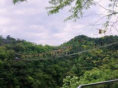 -千岛湖石林
