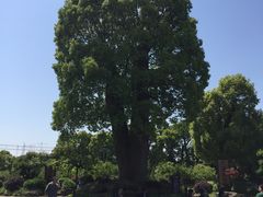 -韩湘水博园