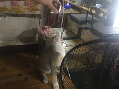 -潮香兴煲仔饭(莲花路店)