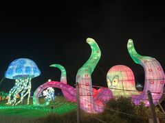 -亚龙湾国际玫瑰谷