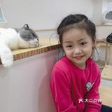 这家可以，猫咪的品种还挺多的