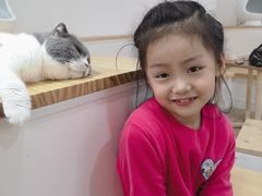 -李小姐の猫咖啡馆(五角场店)