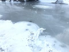 -黑龙潭风景区